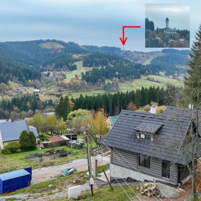 red-inz-img-2241533-3