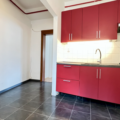 red-inz-img-225645-2