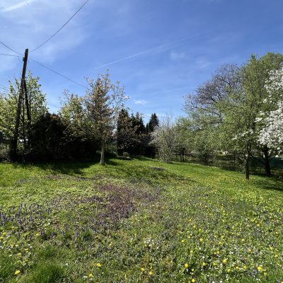 Pozemok Žilina - Budatín