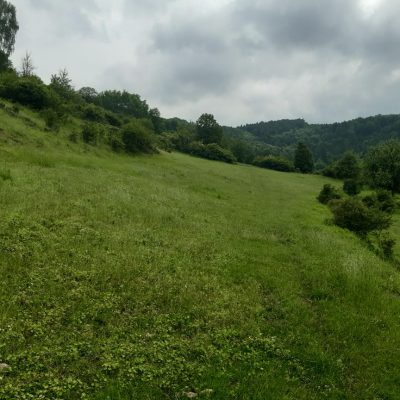 Pozemok Paština Závada