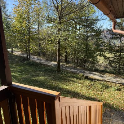 red-inz-img-251765-4