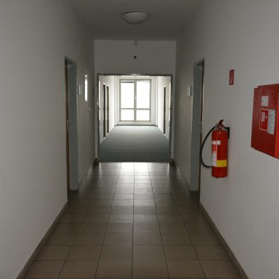 red-inz-img-327232-2